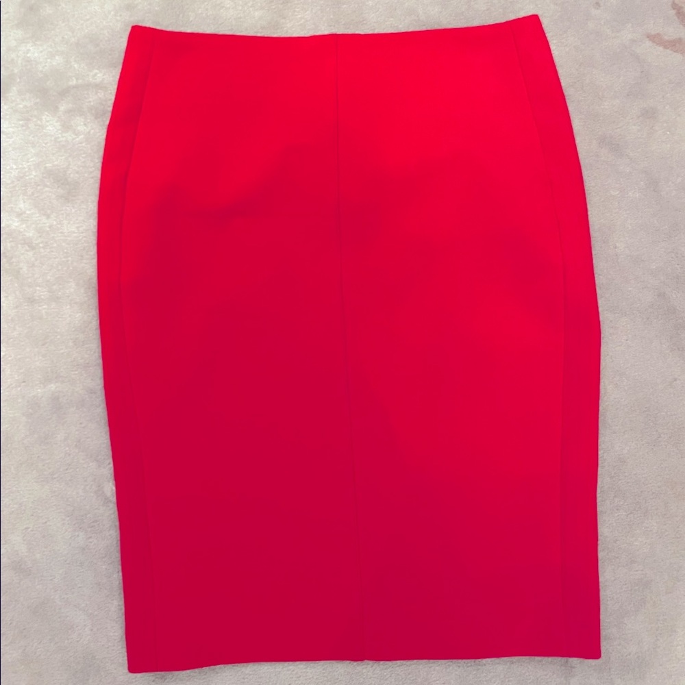 Iris Setlakwe pencil skirt